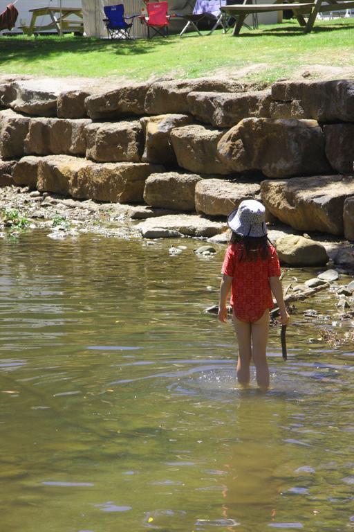 Big4 Wye River Holiday Park Εξωτερικό φωτογραφία