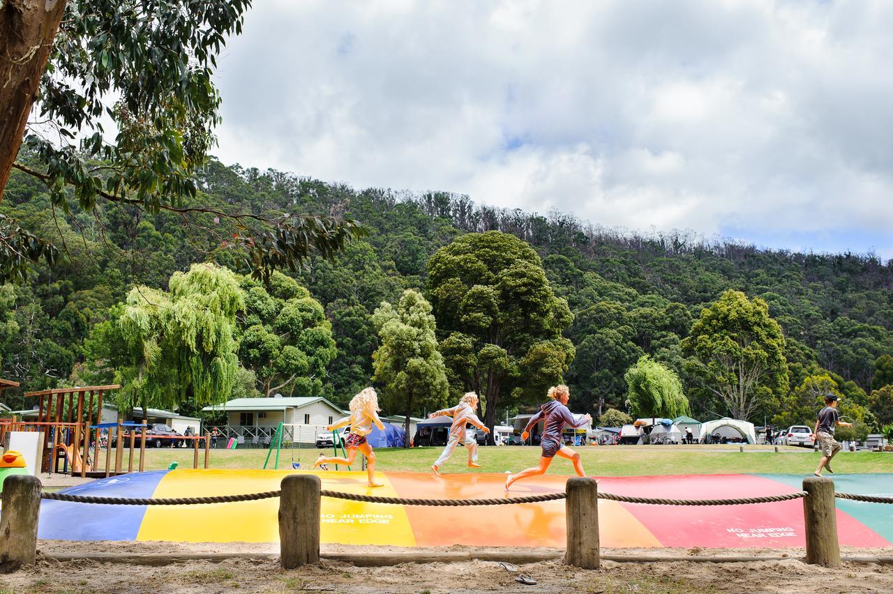 Big4 Wye River Holiday Park Εξωτερικό φωτογραφία